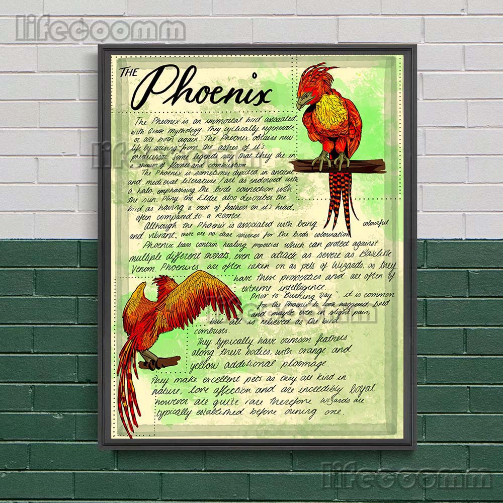 Zauberei Herbologie und Botani – Star Map Poster Bewertung und Preis